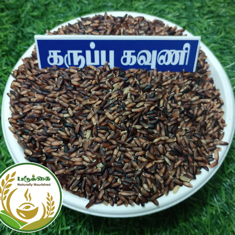 Karuppu Kavuni