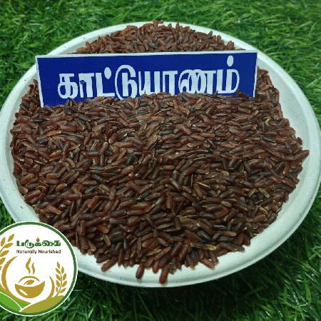Kaatuyanam