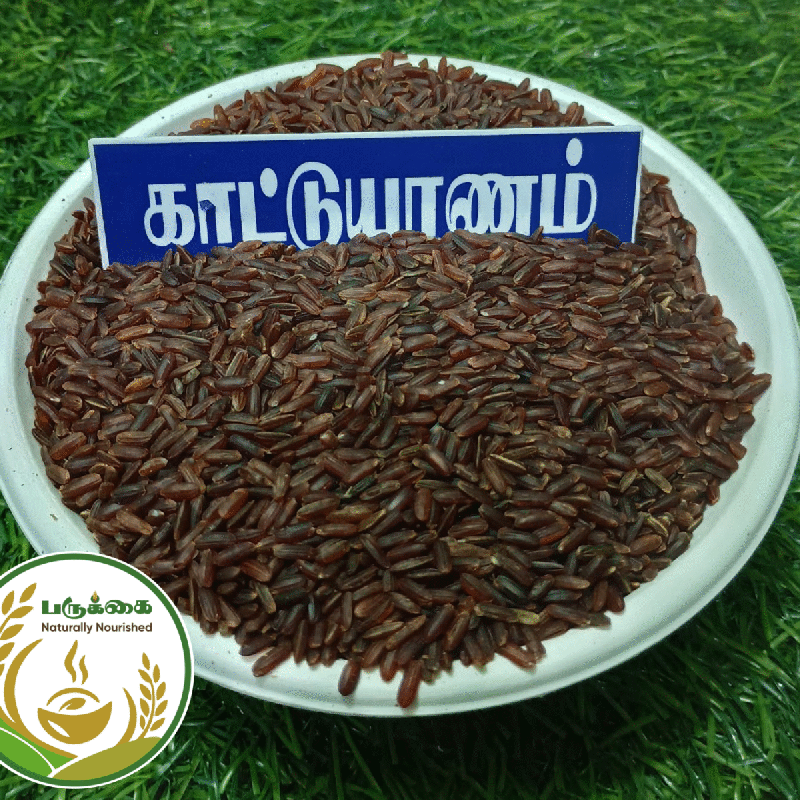 Kaatuyanam